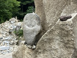 IMG_9368.jpeg