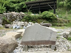 IMG_9372.jpeg