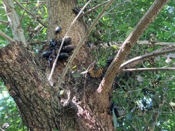 IMG_9448.jpeg