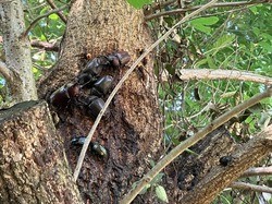 IMG_9460.jpeg