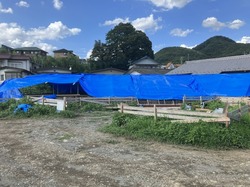 IMG_9519.jpeg