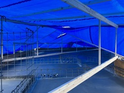 IMG_9522-063ed.jpeg