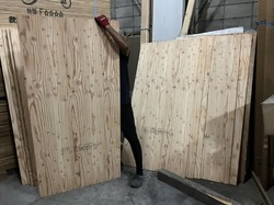 IMG_9525.jpeg