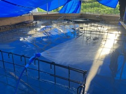 IMG_9530.jpeg
