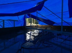 IMG_9532.jpeg