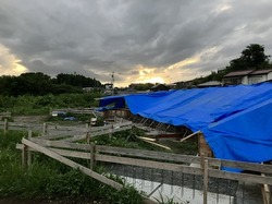 IMG_9533.jpeg