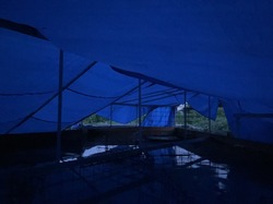 IMG_9535.jpeg