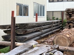 IMG_9579.jpeg