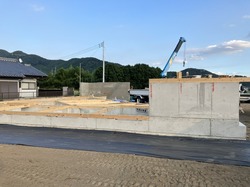 IMG_9687.jpeg