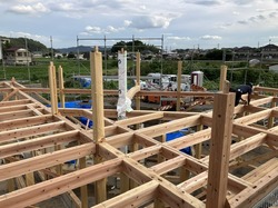 IMG_9730.jpeg