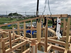 IMG_9739.jpeg