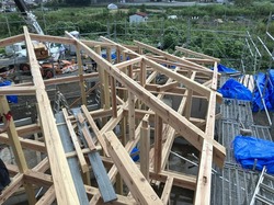 IMG_9760.jpeg
