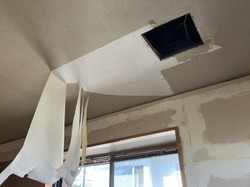 IMG_9965.jpeg