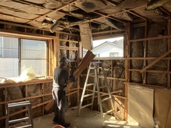 IMG_9966-46c71.jpeg
