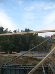 y0127.jpg