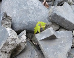 y0281.jpg