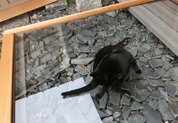 y0720.jpg