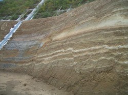 y0806.jpg