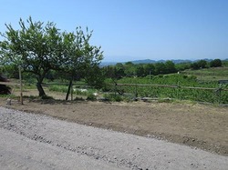 y1243.jpg