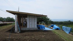 y1595.jpg