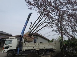 y3414.jpg