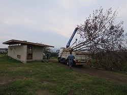 y3419.jpg