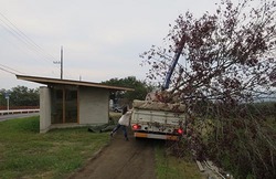 y3420.jpg