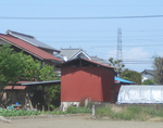 y5257.jpg