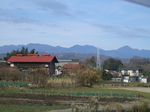 y5786.jpg