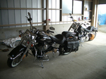 y5958.jpg