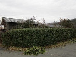y8395.jpg