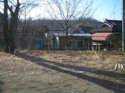 y9213.jpg