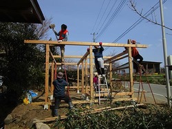 y9230.jpg
